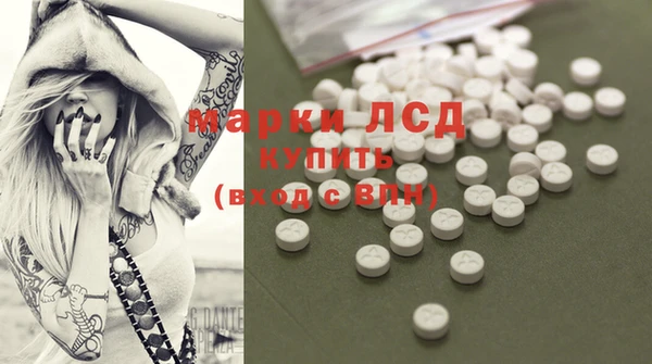 крисы Зерноград