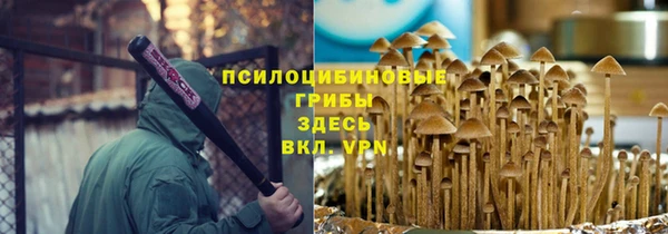 спиды Заволжье