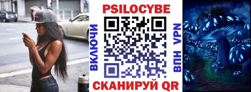 Купить где  Гдов  Псилоцибиновые грибы GOLDEN TEACHER 